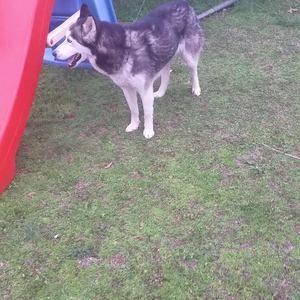 Meet your Posher, Manuel